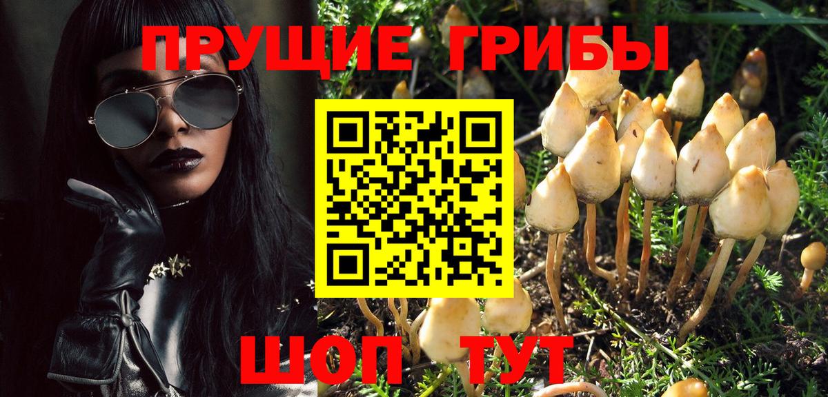 Псилоцибиновые грибы Cubensis Новокуйбышевск