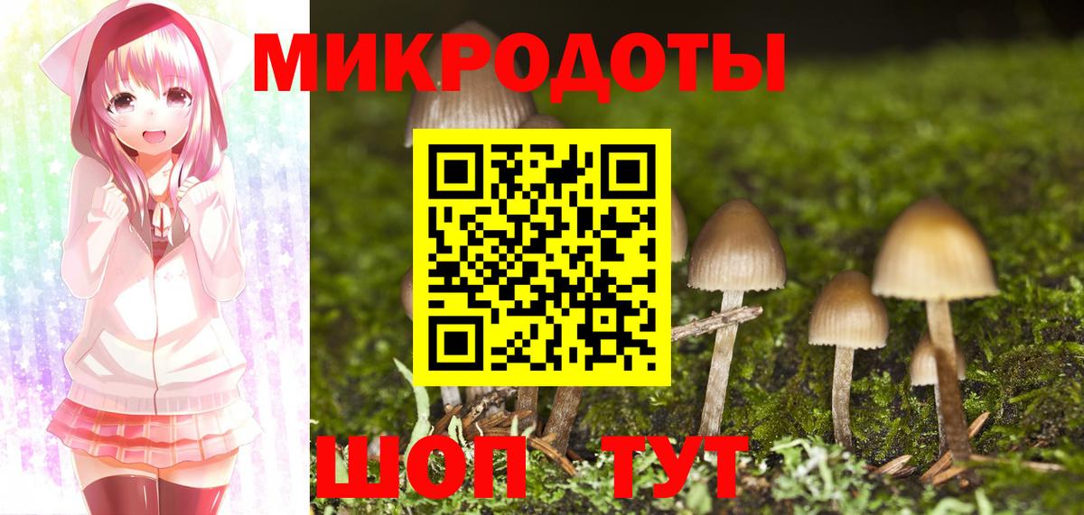 Новокуйбышевск  Галлюциногенные грибы мицелий  Вход с VPN 