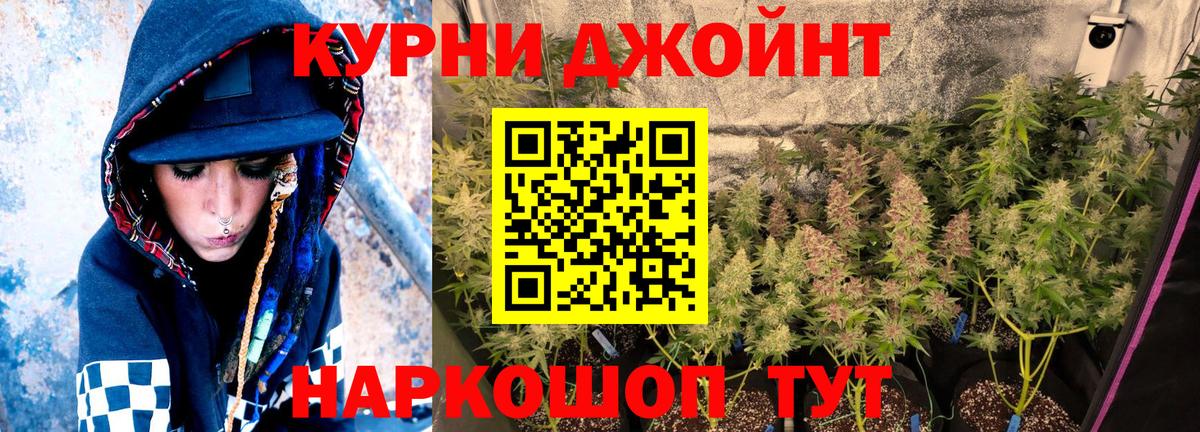 Бошки Шишки MAZAR Новокуйбышевск